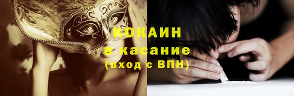 прущая мука Ельня