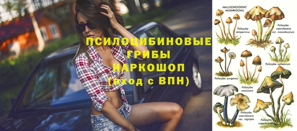 стаф Заволжье