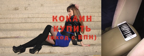 прущая мука Ельня
